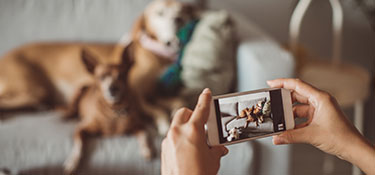 A member using their phone to take a photo for the cover of their custom card